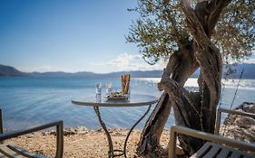 Traditional Stone House In Seafront Olive Grove A