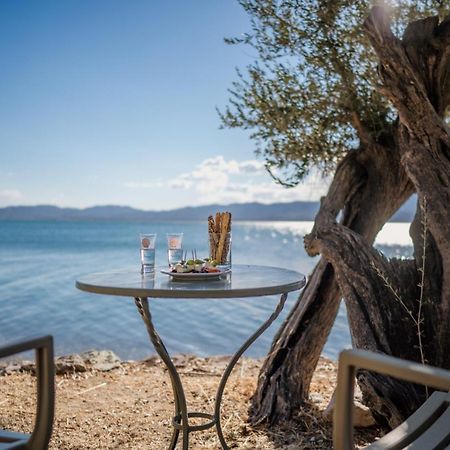 Traditional Stone House In Seafront Olive Grove A Villa Alyfanta Dış mekan fotoğraf