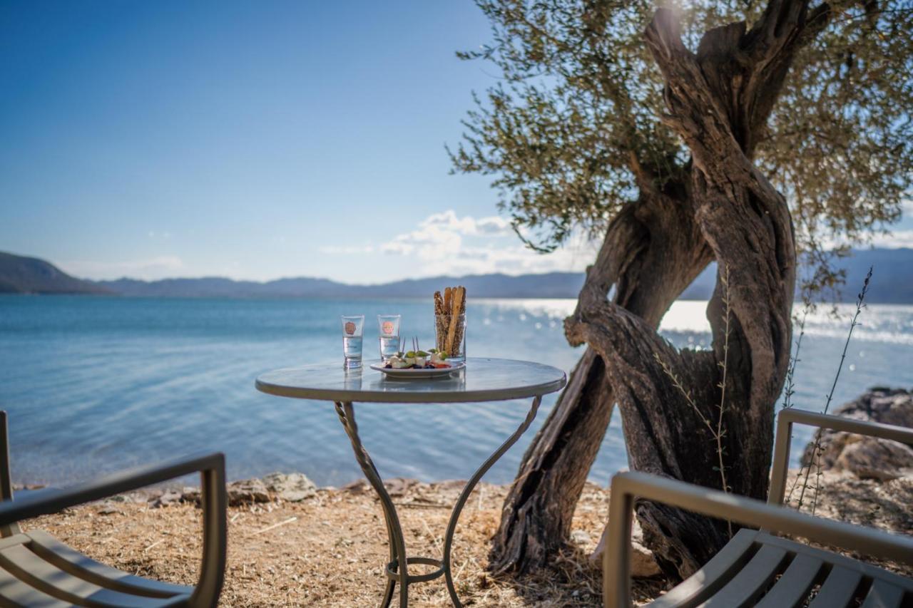 Traditional Stone House In Seafront Olive Grove A Villa Alyfanta Dış mekan fotoğraf