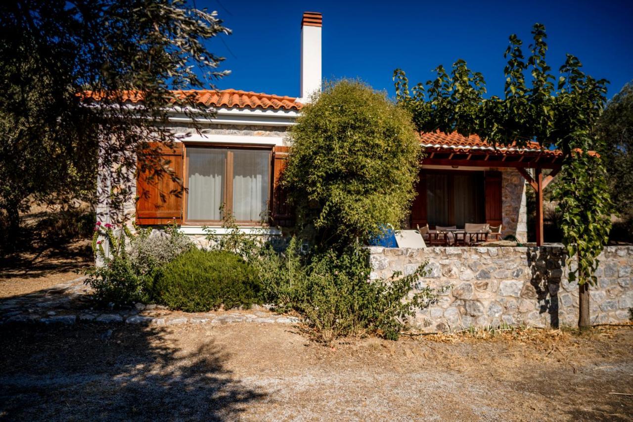 Traditional Stone House In Seafront Olive Grove A Villa Alyfanta Dış mekan fotoğraf