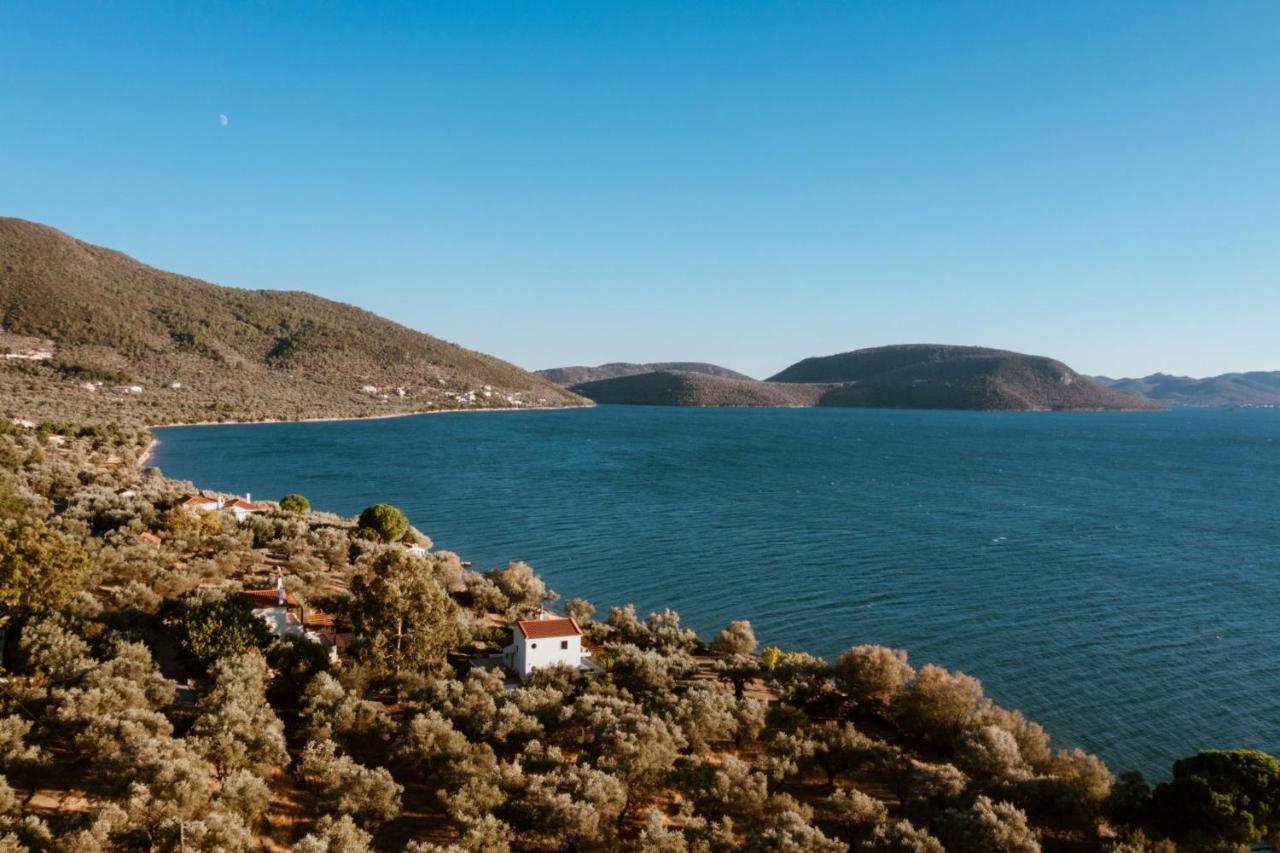 Traditional Stone House In Seafront Olive Grove A Villa Alyfanta Dış mekan fotoğraf