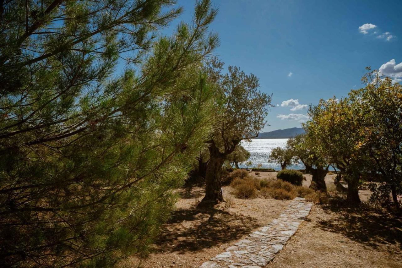 Traditional Stone House In Seafront Olive Grove A Villa Alyfanta Dış mekan fotoğraf