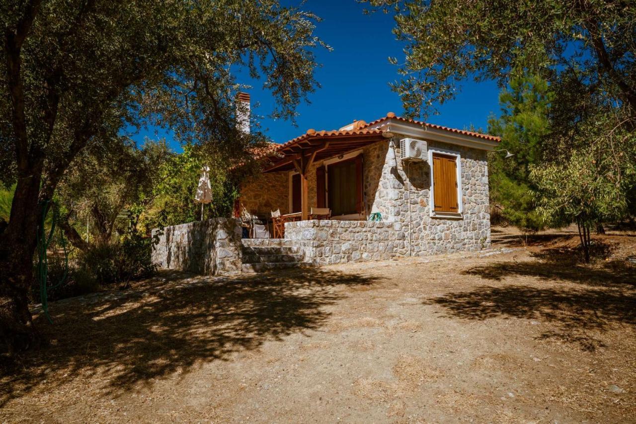 Traditional Stone House In Seafront Olive Grove A Villa Alyfanta Dış mekan fotoğraf